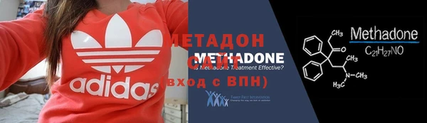 индика Аркадак