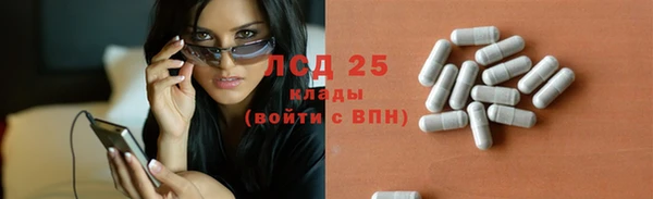 трава Медвежьегорск