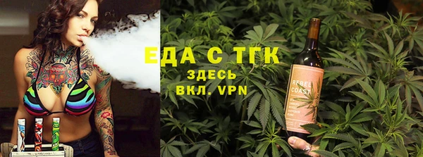 индика Аркадак
