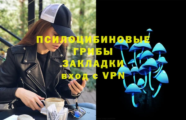 индика Аркадак