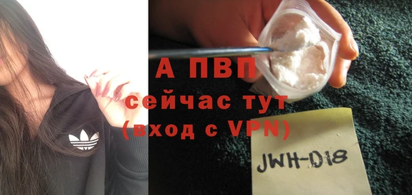 дмт Бердск