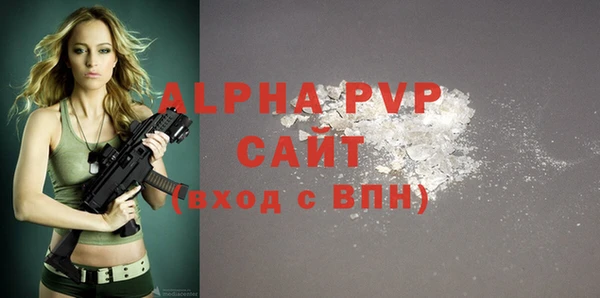 индика Аркадак