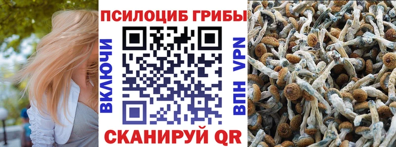 Псилоцибиновые грибы прущие грибы  OMG ссылки  Воткинск 