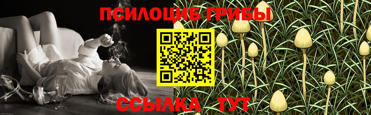 Воткинск  Псилоцибиновые грибы Psilocybine cubensis  Галлюциногенные грибы прущие грибы  Вход с VPN 